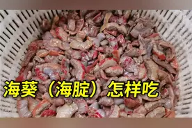 海葵，我们叫海腚，看看我是怎么把它烹制成一道超级美味！