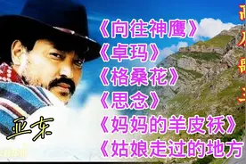 亚东经典藏歌《向往神鹰》《卓玛》《格桑花》《妈妈的羊皮袄》等视频封面