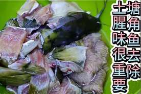 塘角鱼砂锅煲，煮塘鲺去除土腥味很重要，这一步可不要少了，好吃