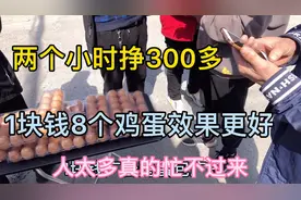 摆摊卖鸡蛋，1块钱8个鸡蛋效果更好，4个小时能赚500吗？