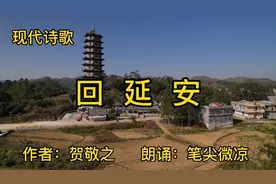 现代诗朗诵《回延安》，作者：贺敬之，经典就是经典，永不过时…视频封面