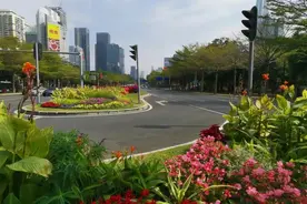 深圳第一景观大道最美路段深南大道华强北至香蜜湖段，一起来看看视频封面