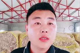 揭秘中转站高利润的原因，别听人瞎忽悠，听听养牛小伙怎么说！视频封面