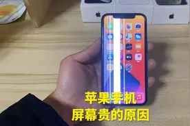 苹果手机“屏幕贵”是有原因的，都干成这样了，竟然还能用！视频封面