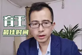 养蜂知识1，养蜜蜂育蜂王很关键，最佳育王时间选择需考虑3个方面视频封面