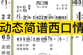 动态简谱西口情视频封面