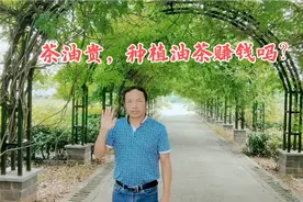 茶油那么贵，种植油茶还有补贴，应该很赚钱吧？真相怎么样呢？视频封面