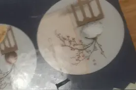 真的姓视频封面