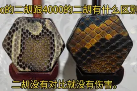 200元的二胡跟4000元的二胡有什么样的区别？该怎样选择二胡？视频封面