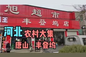 河北农村大集，唐山市丰润区丰登坞大集视频封面