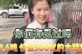 3.4吨 价值300亿的大猛货，你们有见过吗？#翡翠原石视频封面