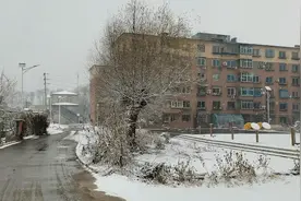 抚顺暖气温度最低社区！老人都快冻没了！能港热力公司收费不加温视频封面