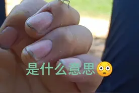 花花肠子，视频封面