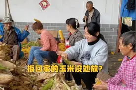 收的几千斤玉米没处放，文文家尝试新的方法，大家觉得这样可行吗