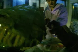 送外卖帮顾客取快递。小姐姐笑容好温柔视频封面