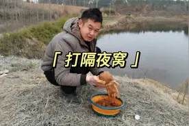 钓鱼就是这样，每次想着爆护就钓不到，而有时候无意间就能爆护视频封面