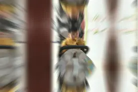 一个身价过亿的人没个保镖还真不行视频封面