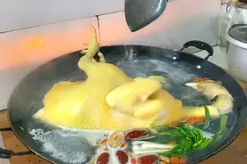 老表抓了只两年的土鸡做白切鸡吃，皮脆肉嫩，这才是正宗的白切鸡