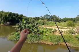 越来越不正经的筏钓竿，这是要抢路亚的饭碗啊，几十水滴轮上位记视频封面