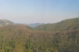 泰山桃花峪索道登山随拍
只有到了泰山才知道他的魅力视频封面