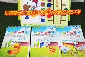 早教儿童玩具左脑右脑全开发智力逻辑思维训练23456-7岁视频封面