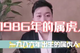 1986年的属虎人视频封面