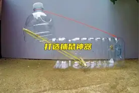 只用一个塑料瓶就能制作捕鼠神器😜