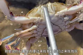 北风呼呼吹，寒风刺骨啊 太冷了视频封面