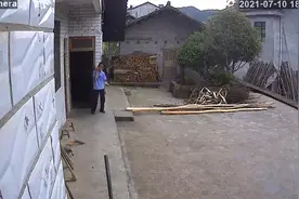 猪圈边堆满柴火，75岁父亲拿着镰刀又去砍柴了 今年明显背驼很多视频封面
