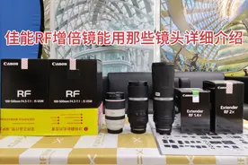 佳能RF增倍镜能用那些镜头详细介绍视频封面