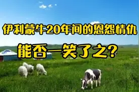 伊利蒙牛20年间的恩怨情仇，能否一笑了之？视频封面