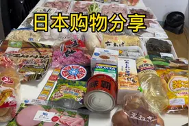 2023年日本超1万件物品涨价，买了一大桌了是什么，味霸调味料
