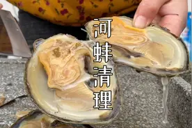 上次很多朋友说没看清河蚌的处理过程，今天发一个超详细完整步骤视频封面