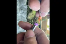 生态笼里抓鸟真的累！鸟笼太大了！给种鸟带上区分环。