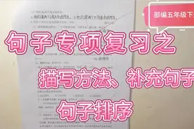 部编本语文五年级下册专项句子复习之描写方法、补充句子、排序视频封面