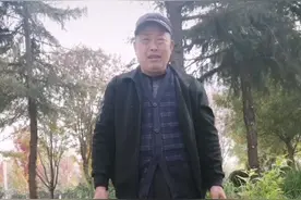豫剧＿苍松翠柏视频封面