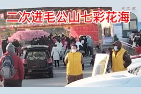 六哥二次进青岛城阳毛公山七彩花海游玩！视频封面