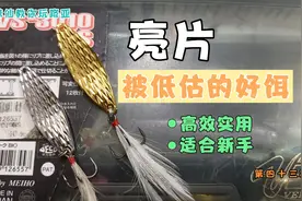 鱼会咬亮片？亮片才是路亚翘嘴必备的一款饵，新手往往不信视频封面