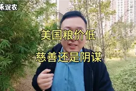 美国粮价比我国低30%，可以全靠吃进口粮吗？视频封面