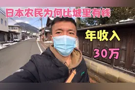 日本农民年收入30万人民币，为何比城里有钱？我们何时能实现。视频封面