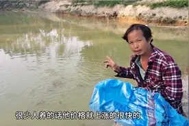 池塘纯天然养殖一年的鱼，市场能卖到50块一斤，这鱼你认识吗视频封面