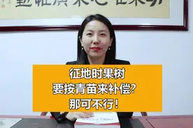 征地时果树要按青苗来补偿？那可不行！视频封面