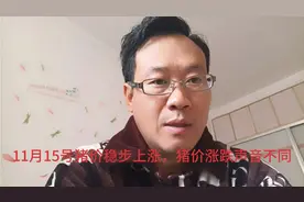 11月15号猪价大部上涨，猪价后期涨跌声音不同。不管如何适时出栏