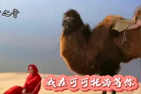 王琪的一首(我在可可托海等你)悠扬歌声，风靡了祖国的大街小巷。视频封面