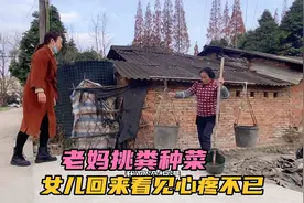 老妈挑粪种菜，女儿回来看见心疼不已，炖个银耳汤让老妈回来喝视频封面