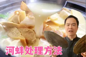 为什么很多人做的河蚌嚼不动？大厨分5步骤处理，河蚌炖豆腐真鲜视频封面