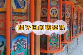 独自旅行在腊子口第一次转反了转经筒，谁来教我该怎么念？视频封面
