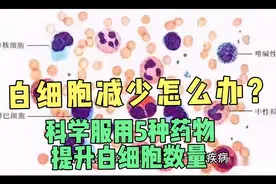 白细胞减少怎么办？科学服用5种药物，有效提升白细胞视频封面