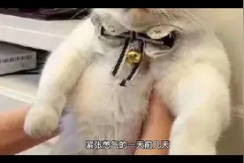 紧张憋屈的一天（头条一直审核不通过，没办法变成图文视频）视频封面