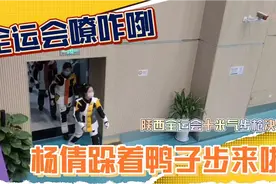 杨倩踱着鸭子步来啦 神枪手全运会十米气步枪决赛登场视频封面